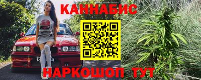 крисы Гай