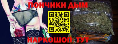 крисы Гай