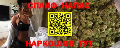 крисы Гай