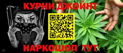 крисы Гай