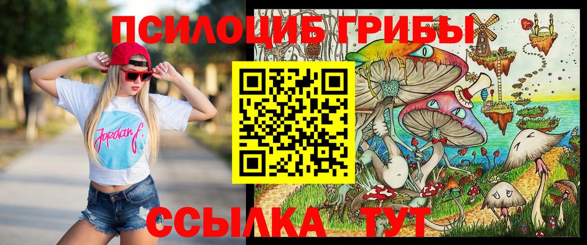 купить наркоту  Вход с VPN  Нарткала  Псилоцибиновые грибы Magic Shrooms  Псилоцибиновые грибы Psilocybine cubensis 